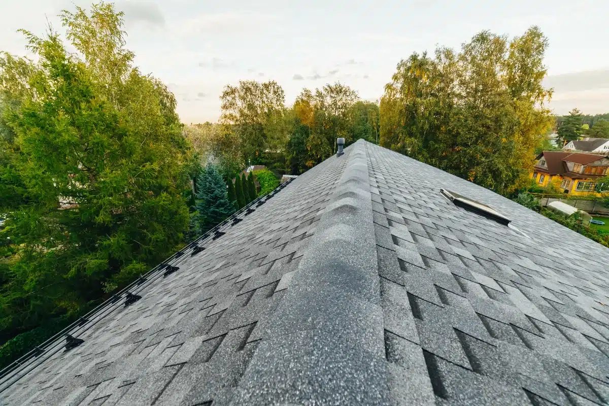 top view of roof before inspection